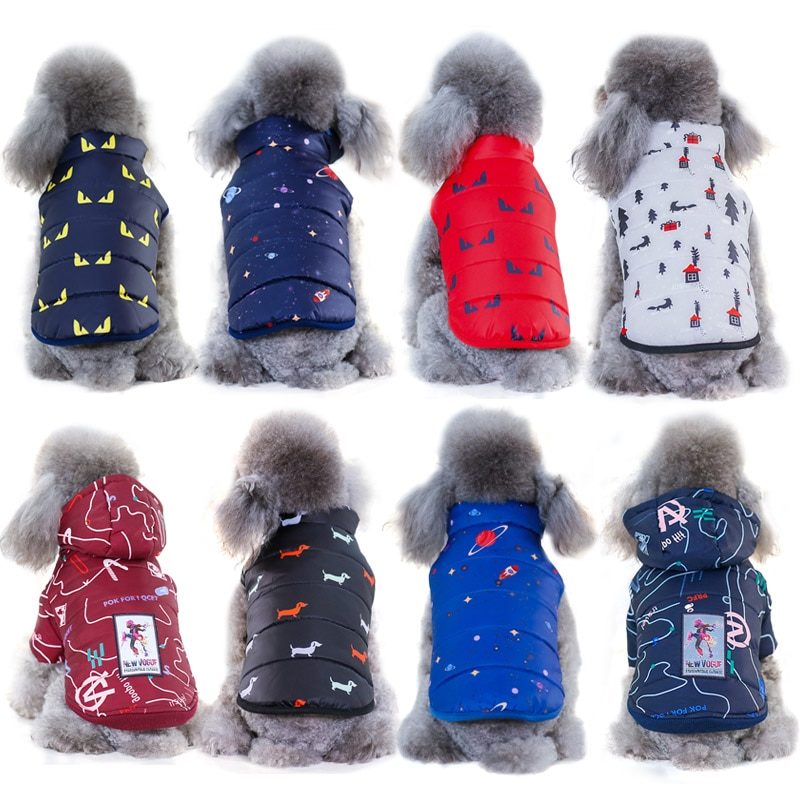 Vêtements d'hiver pour petits chiens – Image 5