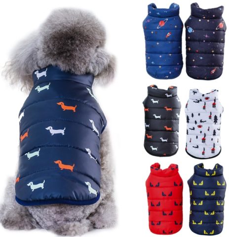 Vêtements d'hiver pour petits chiens