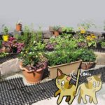 Tapis de jardin répulsif pour chats et chiens en plastique, 2 m – Image 6