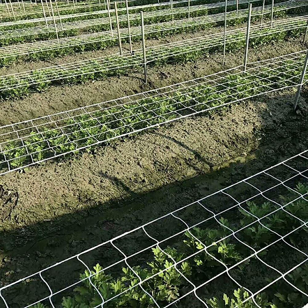 Filet de jardin agricole, maille en nylon, résistant à l'usure et durable