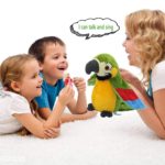 Peluche perroquet, répète vos mots et agite les ailes, 22 cm