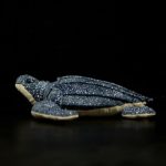 Peluche de tortue à dos nu, animaux marins réalistes, 30 cm – Image 3