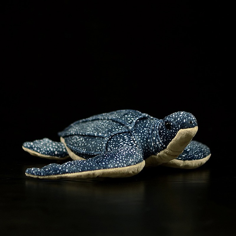 Peluche de tortue à dos nu, animaux marins réalistes, 30 cm