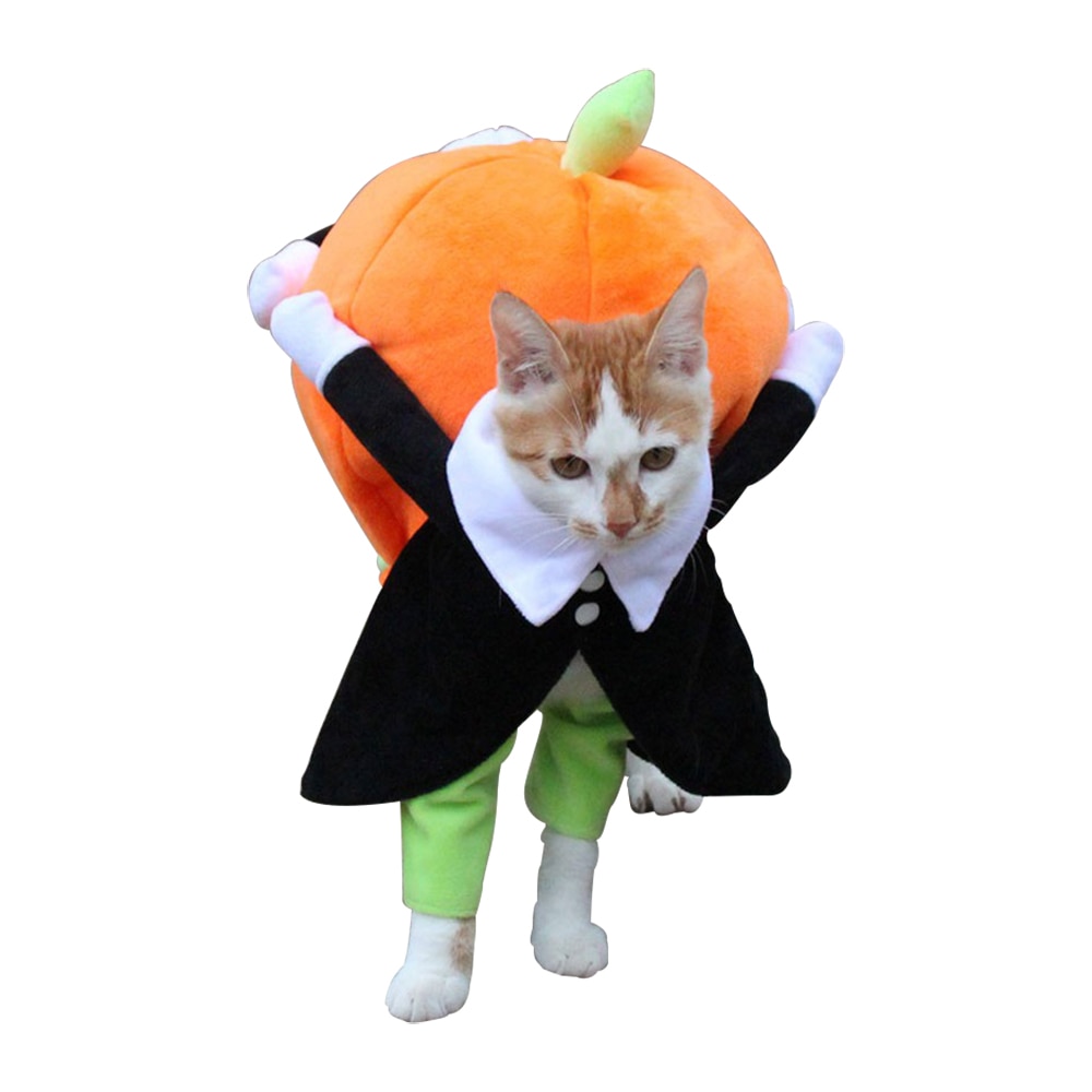 88705-es25u4.jpg Costume pour chien et chat, motif citrouille – Image 1