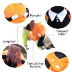 Costume pour chien et chat, motif citrouille – Image 4