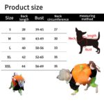 Costume pour chien et chat, motif citrouille – Image 6