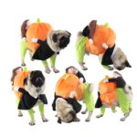 Costume pour chien et chat, motif citrouille – Image 2