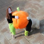 Costume pour chien et chat, motif citrouille – Image 5