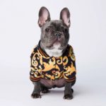 Veste en coton pour chien, chaude et confortable