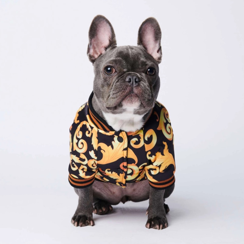 Veste en coton pour chien, chaude et confortable