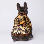 Veste en coton pour chien, chaude et confortable – Image 3