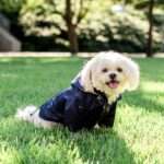 Manteau imperméable pour chien, manteau de pluie – Image 2