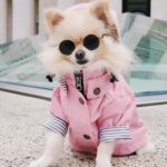 Manteau imperméable pour chien, manteau de pluie – Image 4