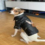 Manteau en similicuir avec motif d'aigle, doux et imperméable – Image 4