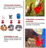Abreuvoir automatique pour volailles – Image 4