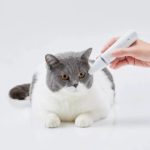 Tondeuse pour animaux 2 en 1, toilettage et coupe, sans fil, rechargeable, professionnel – Image 3