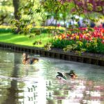 Statue de canard Mandarin, sculptures d'animaux artificiels, 22 cm – Image 4
