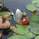 Statue de canard Mandarin, sculptures d'animaux artificiels, 22 cm – Image 3
