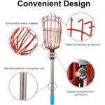 Cueilleur de fruits réglable, panier profond pratique pour la cueillette des fruits, 262 cm – Image 3