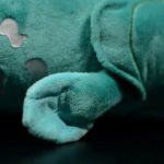 Peluche poisson cœlacanthe, animaux marins, 38 cm – Image 5