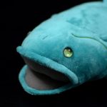 Peluche poisson cœlacanthe, animaux marins, 38 cm – Image 4