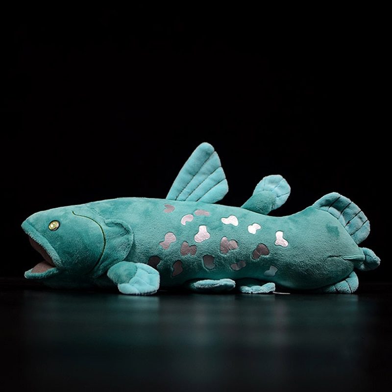 Peluche poisson cœlacanthe, animaux marins, 38 cm