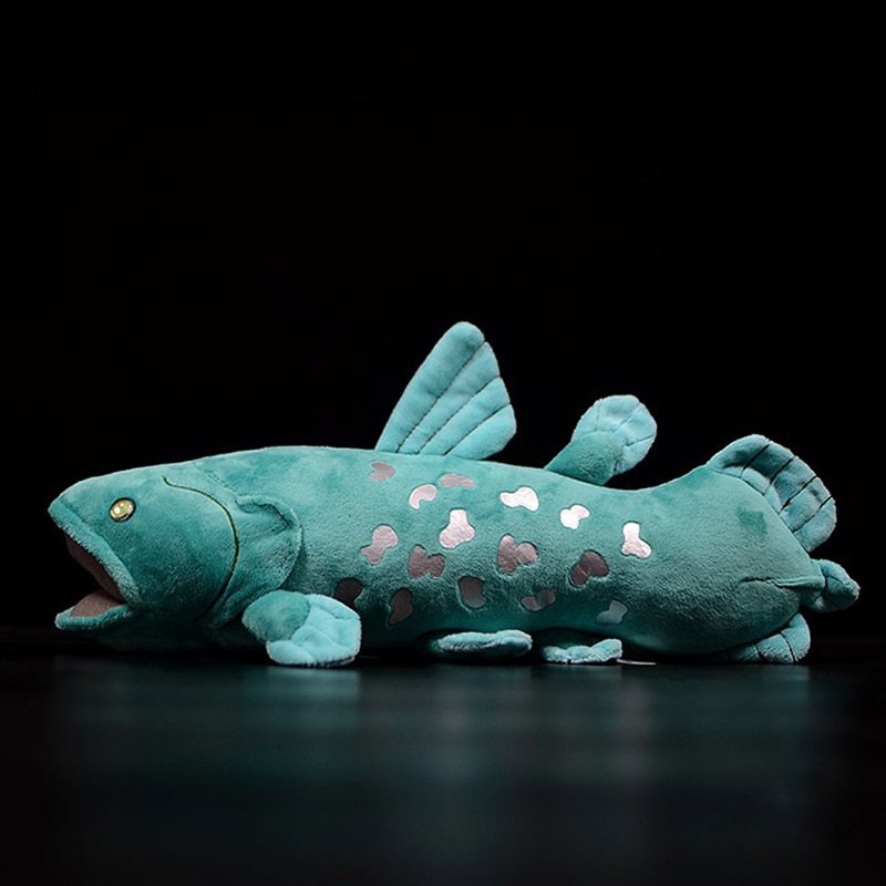 Peluche poisson cœlacanthe, animaux marins, 38 cm