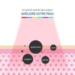 Appareil pour thérapie photodynamique, traitement chauffant, rajeunissement, Antivieillissement, outil de SPA – Image 5