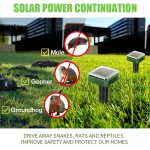 Répulsif solaire à ultrasons contre rats et taupes, 2 à 8 pièces – Image 6