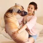 Coussin 3D en forme de chien, rembourrage en coton, 50 cm – Image 7