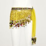 Écharpe de hanche pour danse du ventre, jupe à paillettes brillantes et chaîne à la taille – Image 3