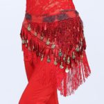 Ceintures de danse du ventre, à pampilles, en maille extensible, franges, écharpe de hanche – Image 4