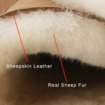 127519-97b9ed.jpeg