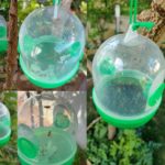 Lot de 4 pièges à insecte, frelons, guêpes, abeilles, mouches – Image 3