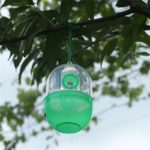 Lot de 4 pièges à insecte, frelons, guêpes, abeilles, mouches – Image 4