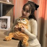 Peluche de chat gras et mignon, confortable et doux, de 30 à 45 cm – Image 3