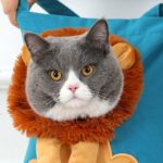 Sac à main de transport pour chat et petit chien, doux, respirant, avec fermeture éclair de sécurité – Image 2