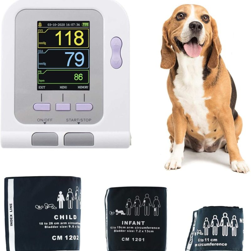 Moniteur de pression artérielle électronique et automatique pour animaux, avec trois manchettes