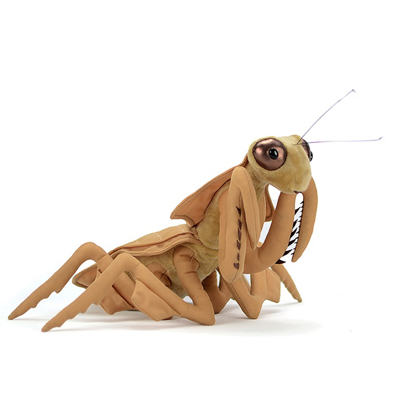 Peluche de Mante religieuse, réaliste, douce, 28 cm de longueur