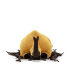 Peluche de coléoptère jaune, réaliste et douce, 25 cm – Image 4
