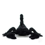 Peluche de scorpion Pandinus noir, réaliste et doux, 40 cm – Image 3