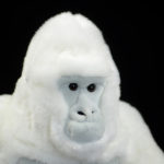 Peluche de gorille albinos, réaliste et doux, 38 cm – Image 5