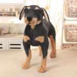 Peluche de chien Rottweiler réaliste, doux et mignon, de 25 à 70 cm – Image 5
