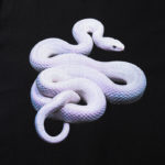 T-Shirt en coton imprimé, col rond, Snake – Image 3