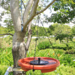 Ensemble de fontaine solaire et abreuvoir à oiseaux, avec crochet, bain d’oiseaux pour jardin – Image 5