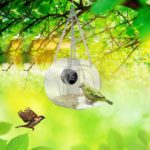 Mangeoire à oiseaux avec caméra espion, 1080P, Wifi – Image 2