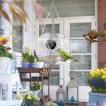 Mangeoire à oiseaux avec caméra espion, 1080P, Wifi – Image 3