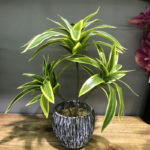 Plante artificielle avec branche, feuilles tropicales, 3 têtes, 36 cm – Image 8