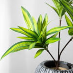 Plante artificielle avec branche, feuilles tropicales, 3 têtes, 36 cm – Image 6
