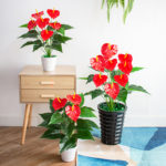 Plante anthurium artificielle, langue de feu, couleur vive, 53 cm – Image 2